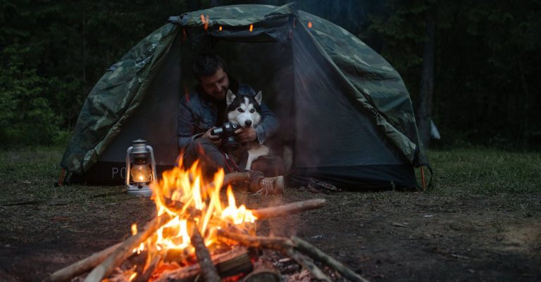 Why Dalmatians Are Essential Fire Dogs: A Historical and Modern Perspective