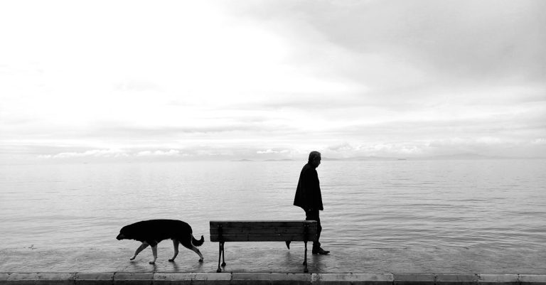 Why Are Dogs Taking Over Twitter: Managing Your Feed