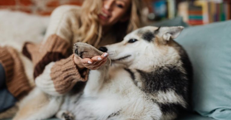 Why Do Dog Paws Smell Like Fritos? Understanding the Sweet & Salty Mystery