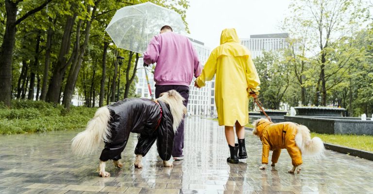Why Do Dogs Have Wet Noses? Exploring the Science Behind Their Enhanced Sense of Smell