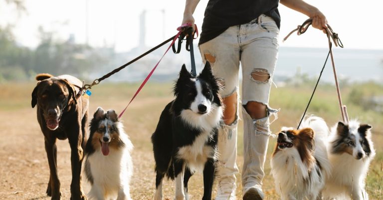 Unveiling the Mystery: Why Dogs are Incredibly Loyal