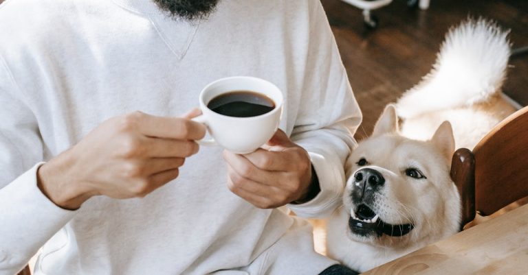 Why Does My Dog Smell Like Fish? Common Reasons & Solutions