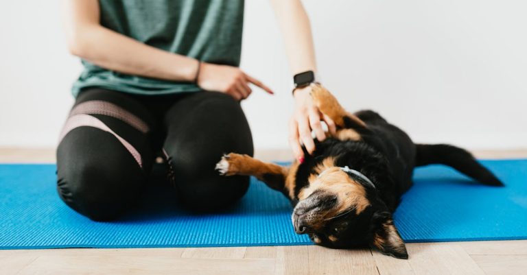 Female Dog Peeing in the House: Causes & Solutions You Need to Know