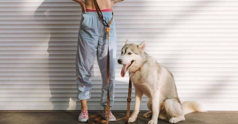 Why Is My Dog Panting Excessively? Causes, Symptoms & Treatment Explained