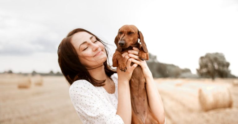 Why Do Dogs Lick Their Lips: Understanding the Behavior and Signs