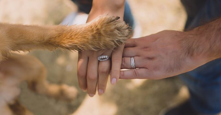 Why Dogs Lay on Your Feet: Affection, Comfort, and Instincts Explained
