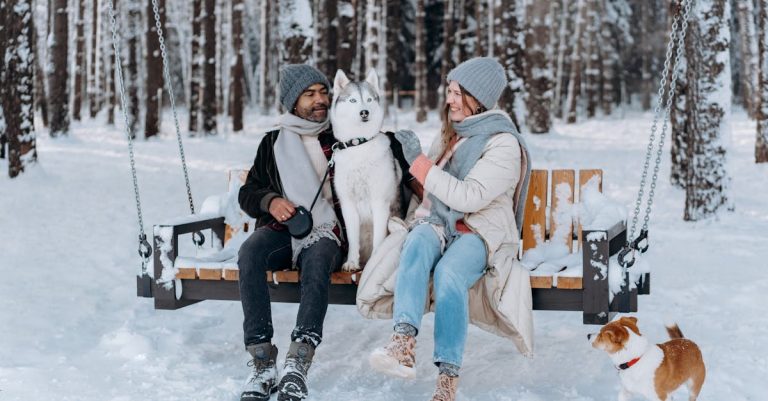 Dogs Mating: Secrets Behind Why Dogs Get Stuck Together Explained