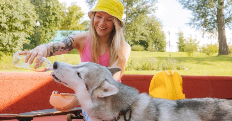 Why Won’t My Dog Drink Water? Understanding the Reasons and Solutions