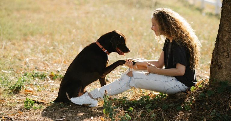 Why Chocolate is Deadly for Dogs: Understanding the Dangers & Prevention Tips