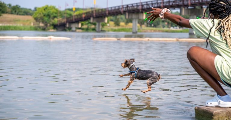 Why is My Dog Throwing Up Blood? Understanding Causes & Treatment