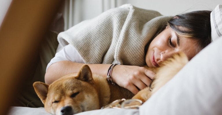 Why Does My Dog Whine? Understanding Reasons & Solutions